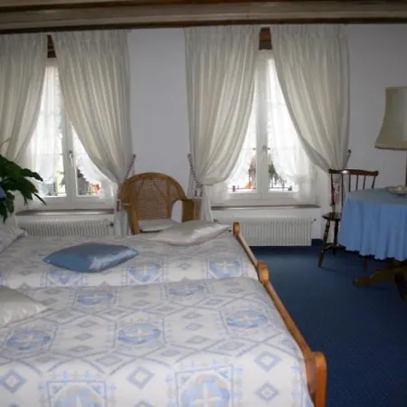 Zum Alten Schweizer Han/Misafirhane *