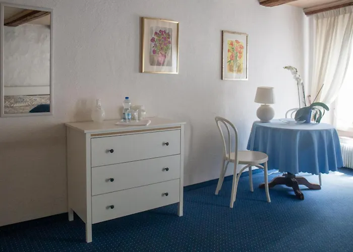 宾馆 祖姆阿尔滕施魏策尔酒店