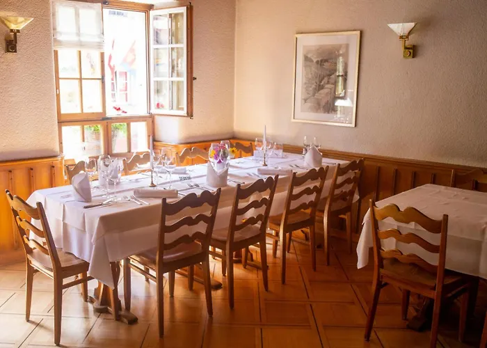 宾馆 祖姆阿尔滕施魏策尔酒店 *